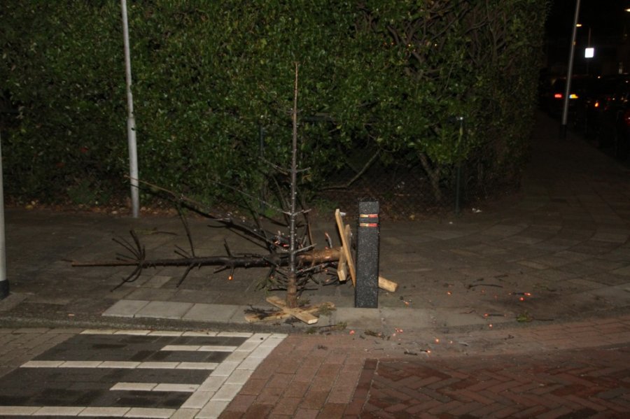 Kerstboombranden Noordwijk